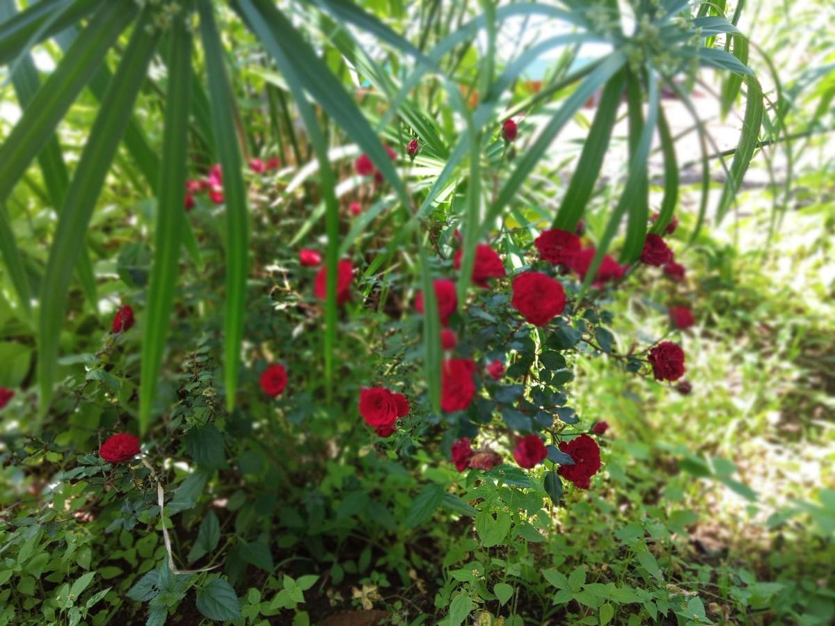 Oak Valley Resorts Kotagiri Kültér fotó